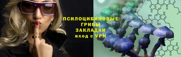 a pvp Вяземский