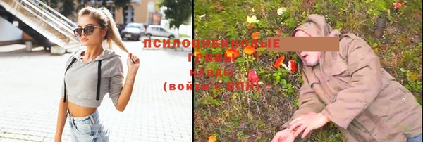 мдпв Вязьма